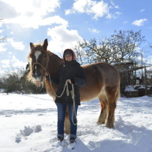 Cavallo Murgia Innevata
