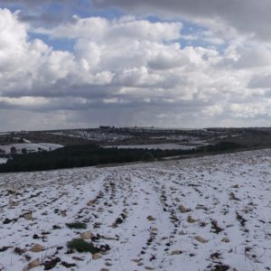 Murgia Neve